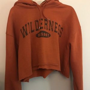 Wilderness cut off hoodie